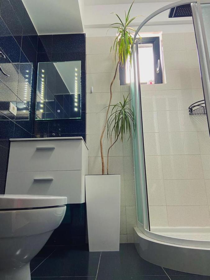 那沃达利Peacock Apartament- Stefan Building公寓 外观 照片
